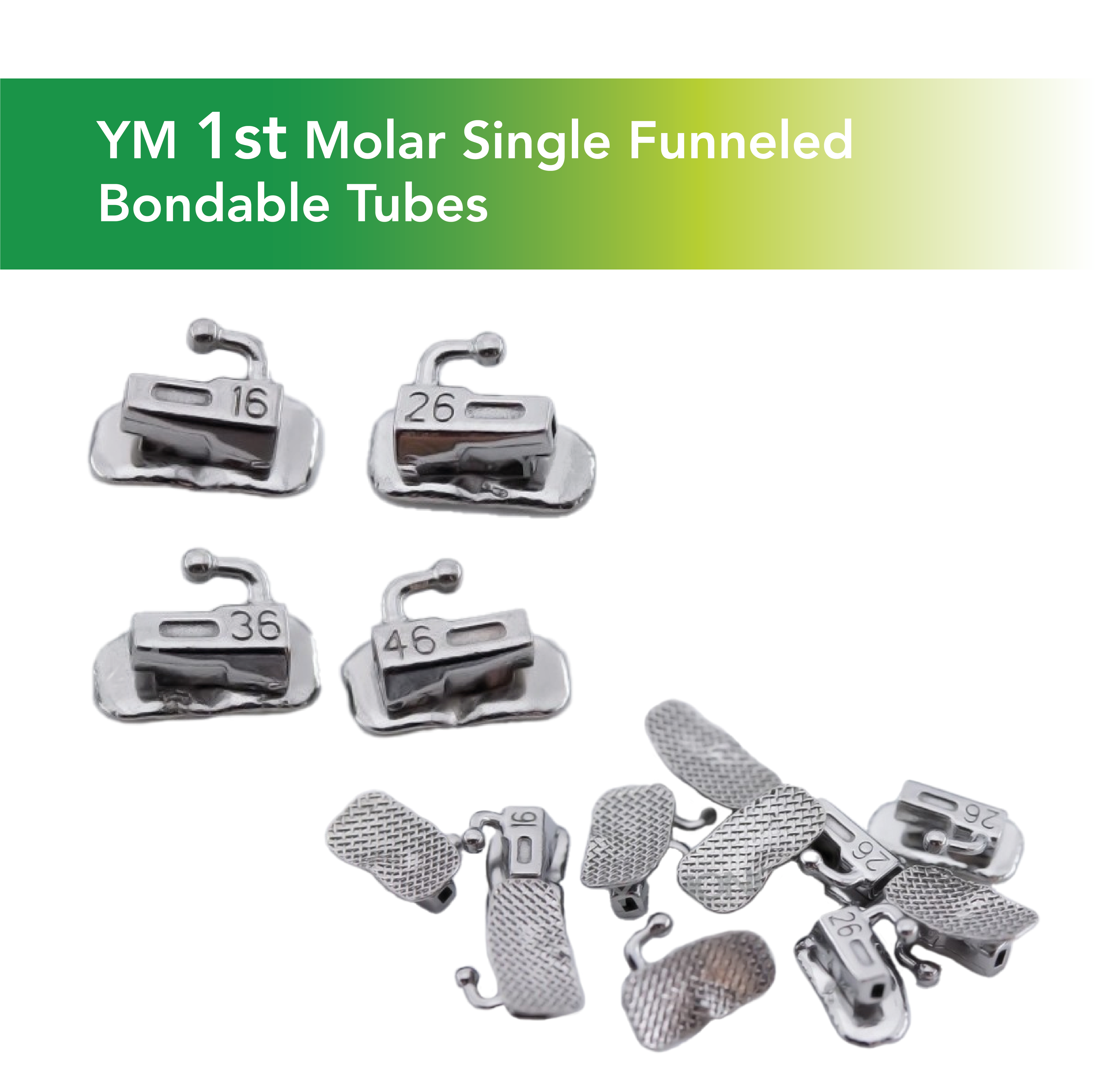 YM Funneled Molar Tubes - 2