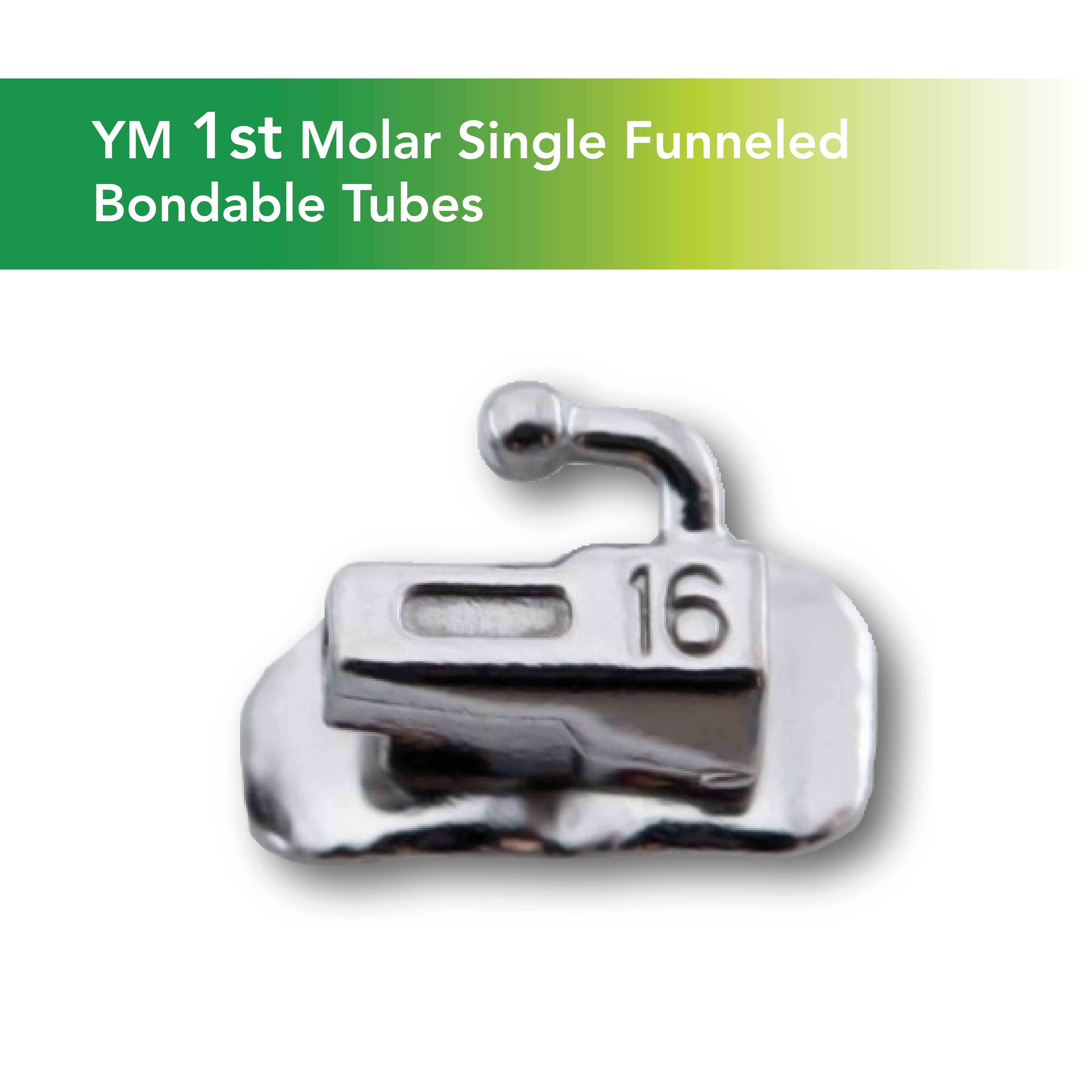 YM Funneled Molar Tubes - 1