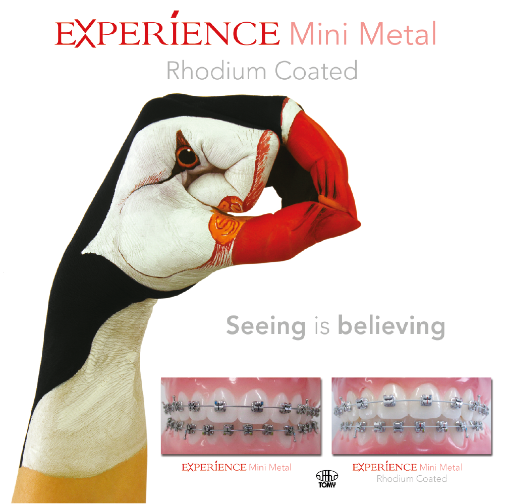 Experience mini metal Rhodium - 6