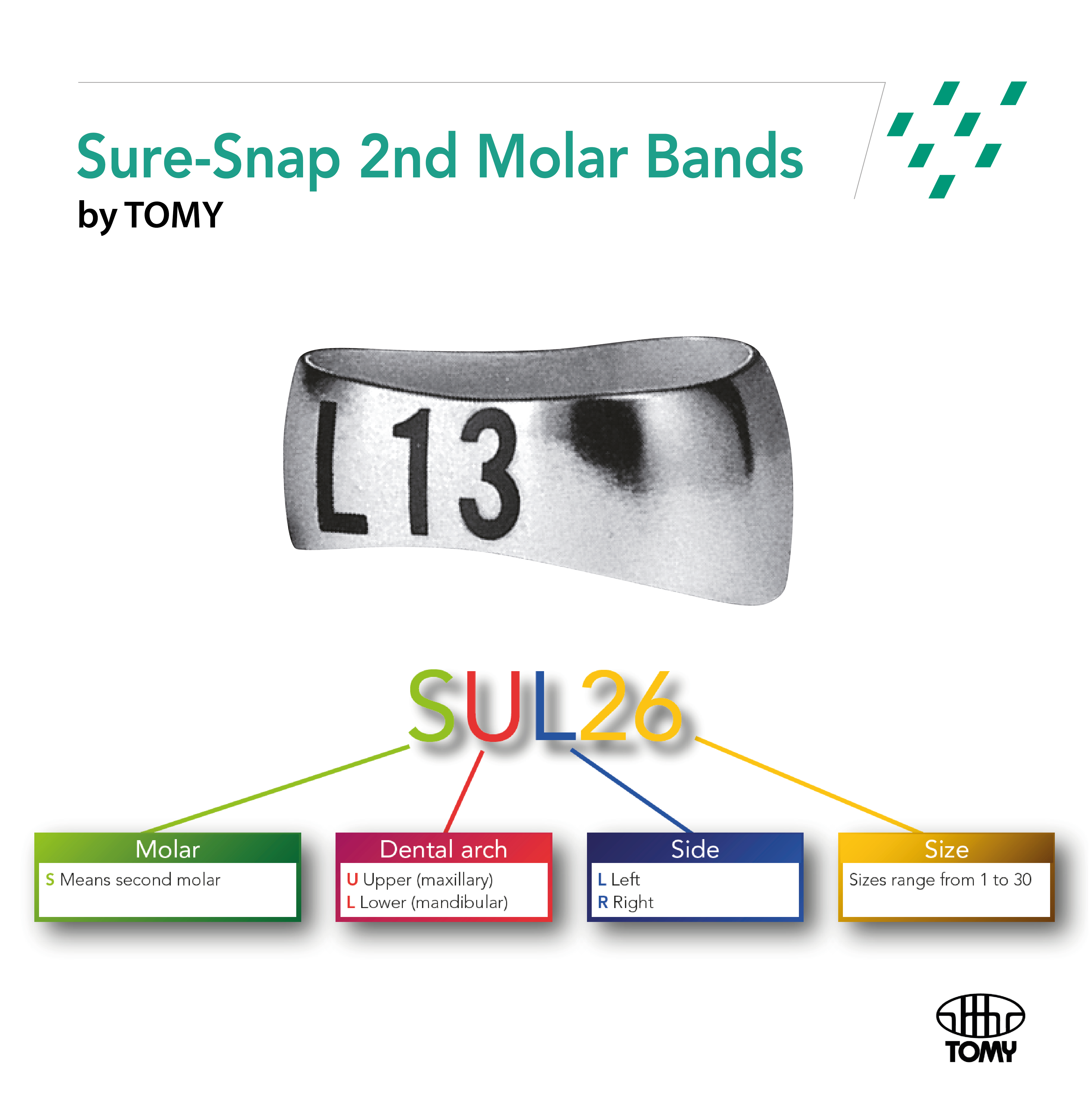 GC Sure-Snap Molar bands - 3