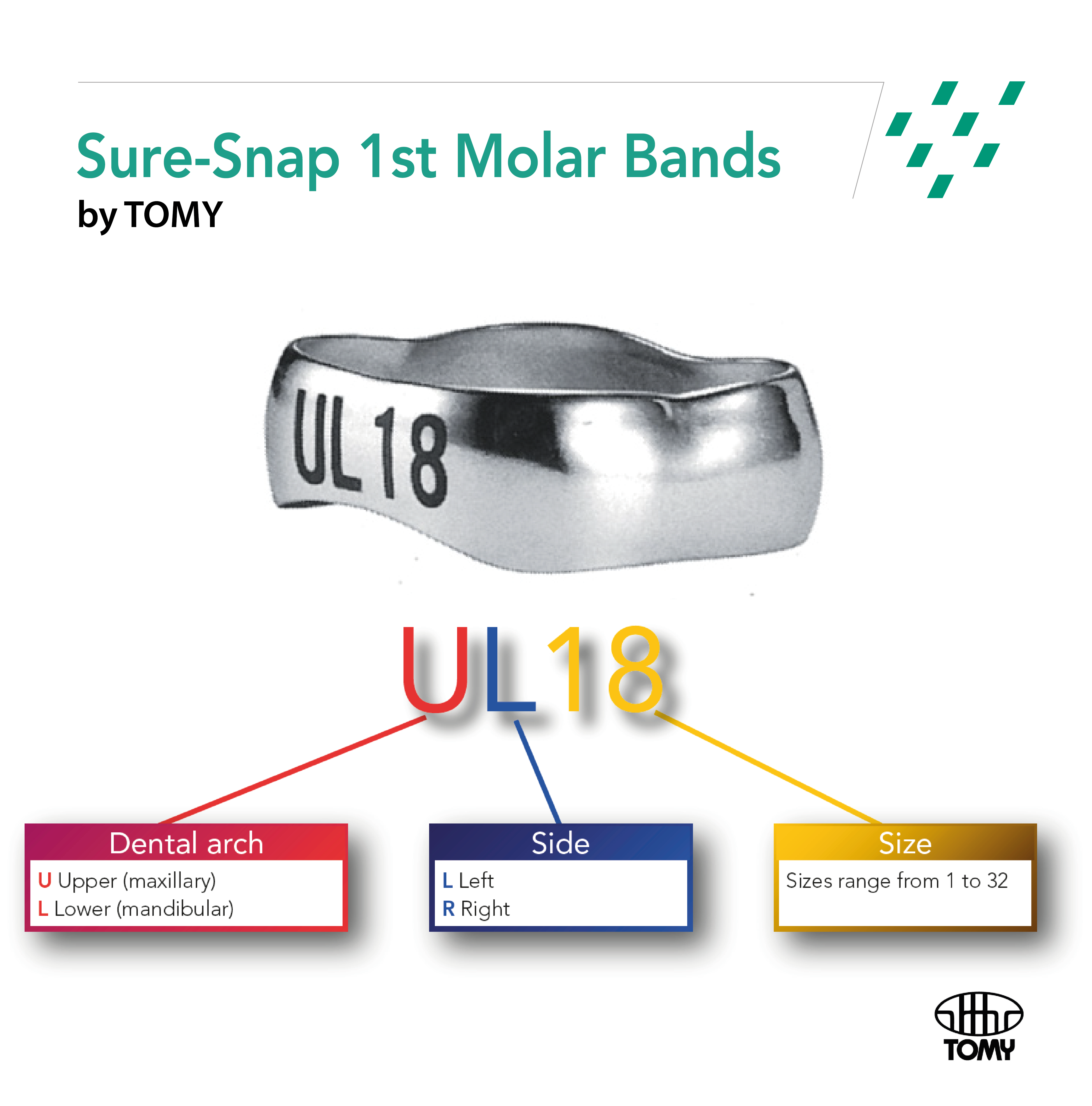 GC Sure-Snap Molar bands - 2