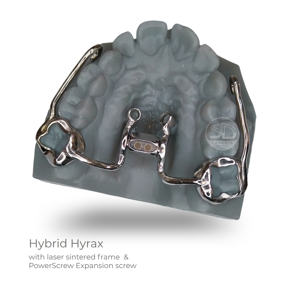 Hybrid Hyrax - 17