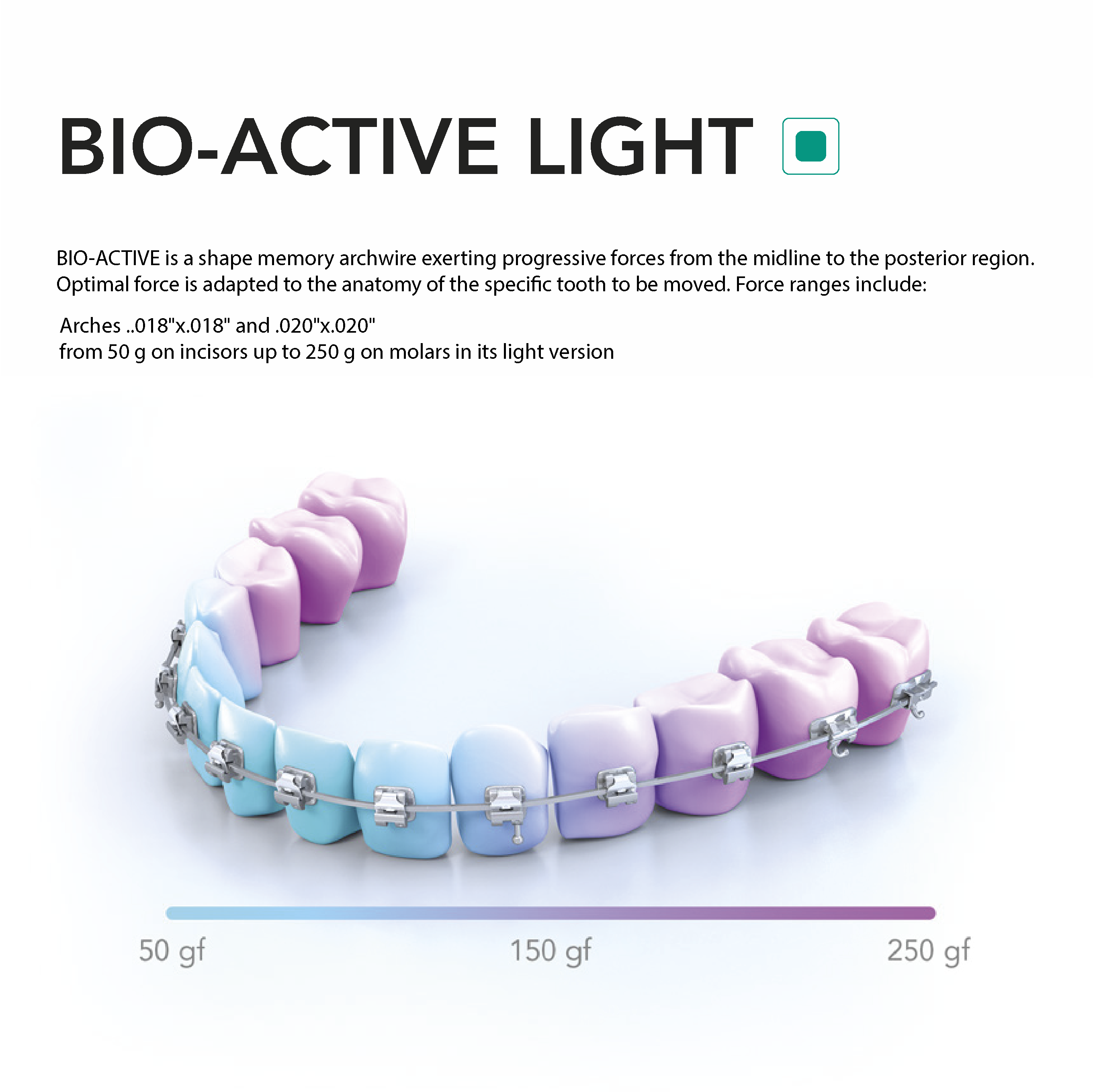 BIO-ACTIVE LIGHT - 2