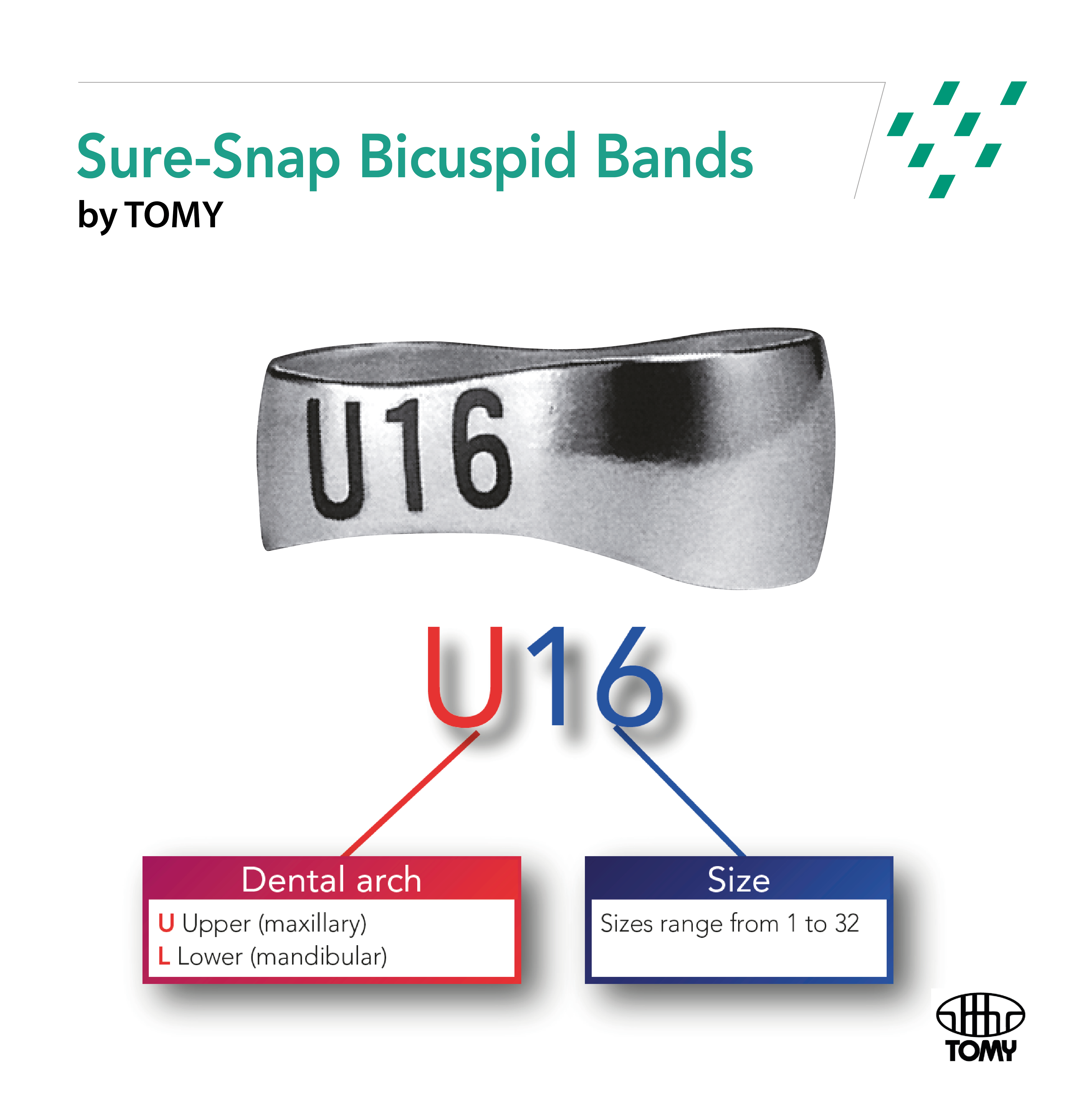 GC Sure-Snap Molar bands - 4