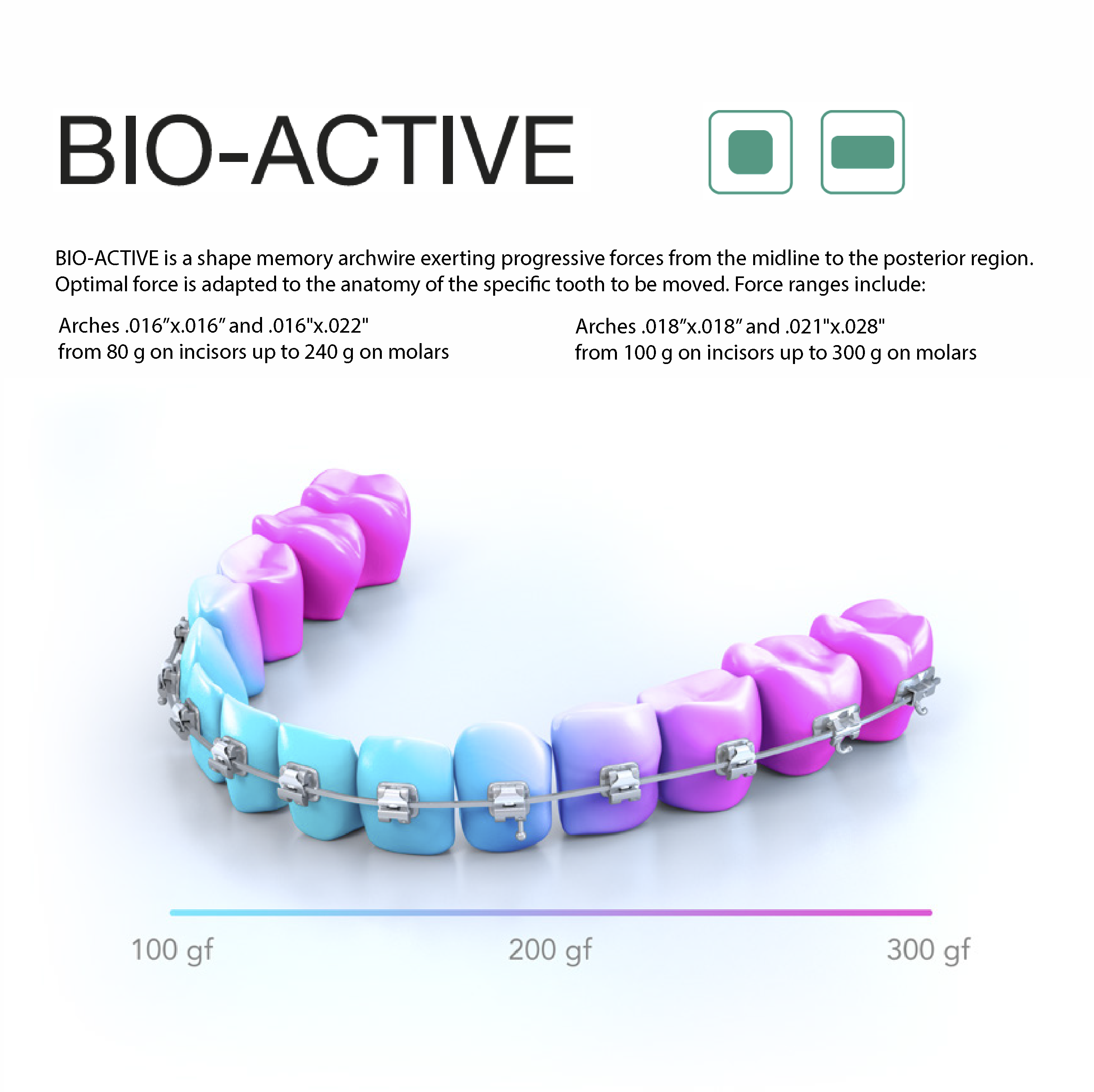 BIO-ACTIVE - 2