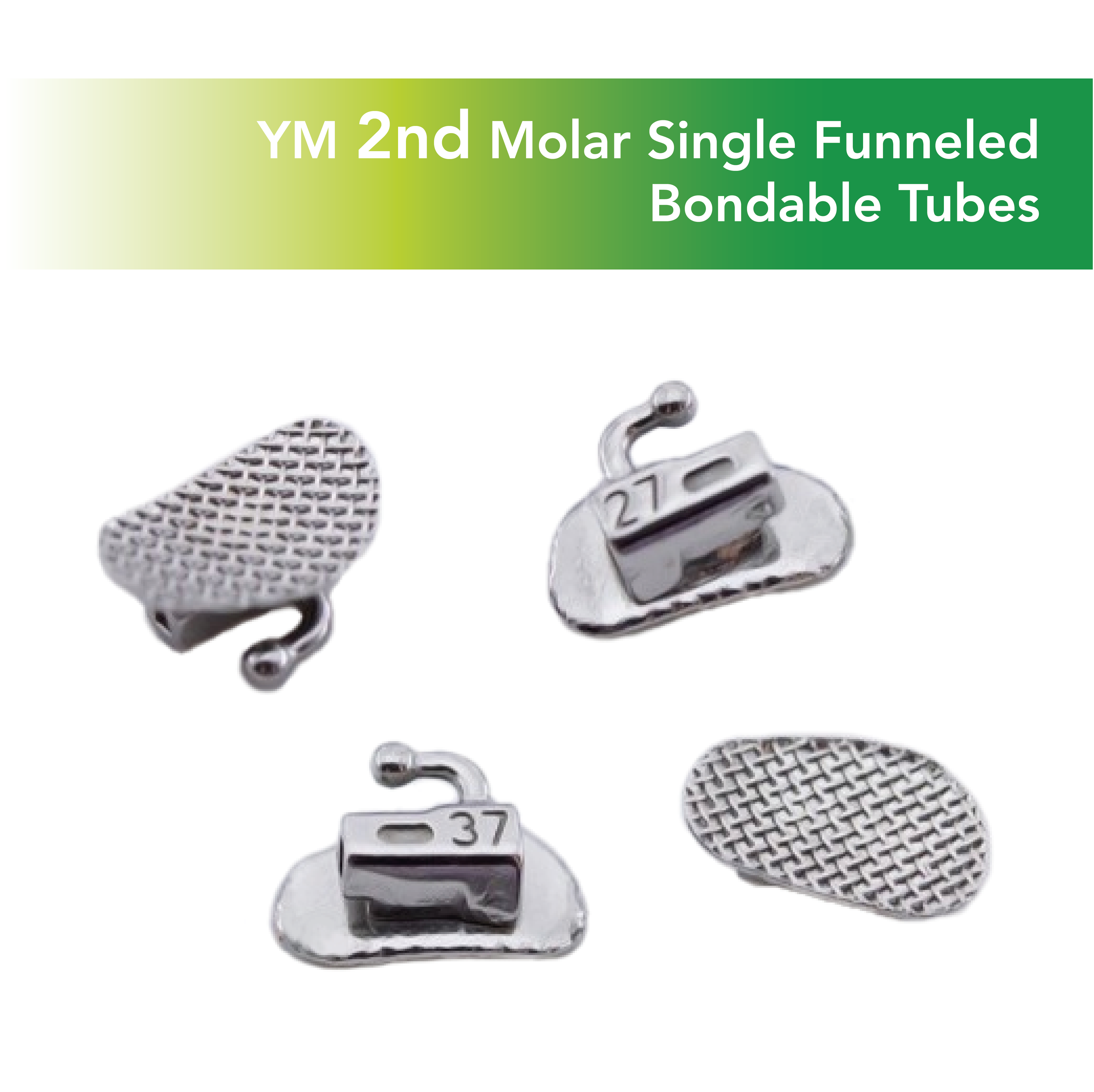 YM Funneled Molar Tubes - 3