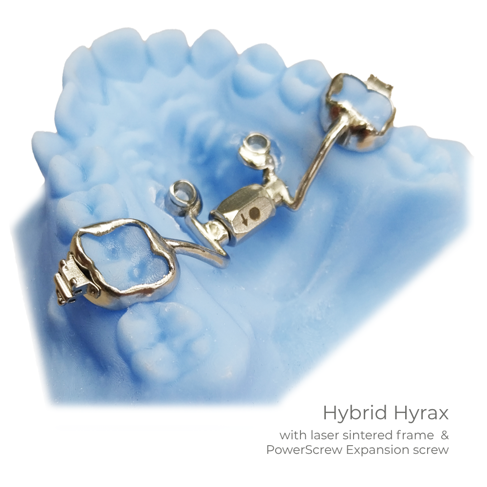 Hybrid Hyrax - 2