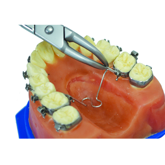 SD 155 Lingual Arch Placing Curved - 2